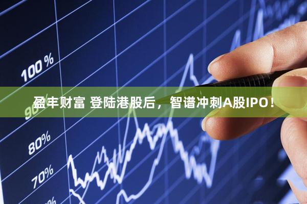 盈丰财富 登陆港股后，智谱冲刺A股IPO！