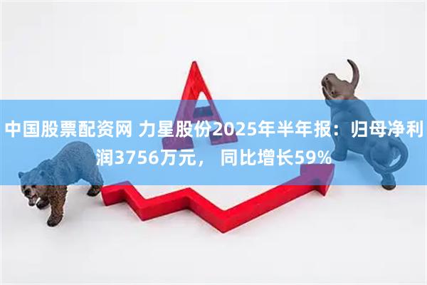 中国股票配资网 力星股份2025年半年报：归母净利润3756万元， 同比增长59%